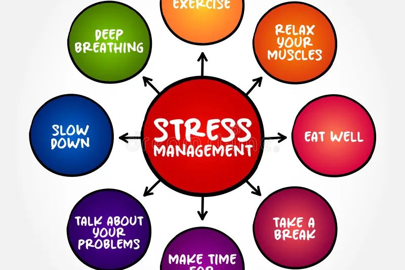 Finding Calm in the Chaos: A Practical Guide to Stress Management.