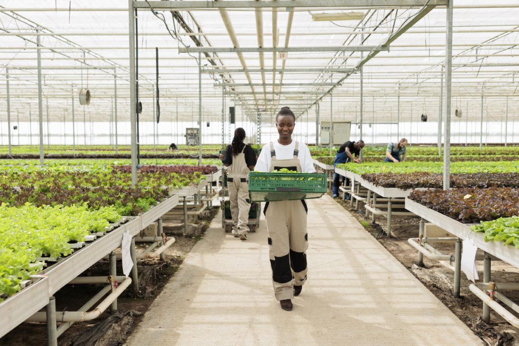 The Three Pillars That Could Transform Kenya