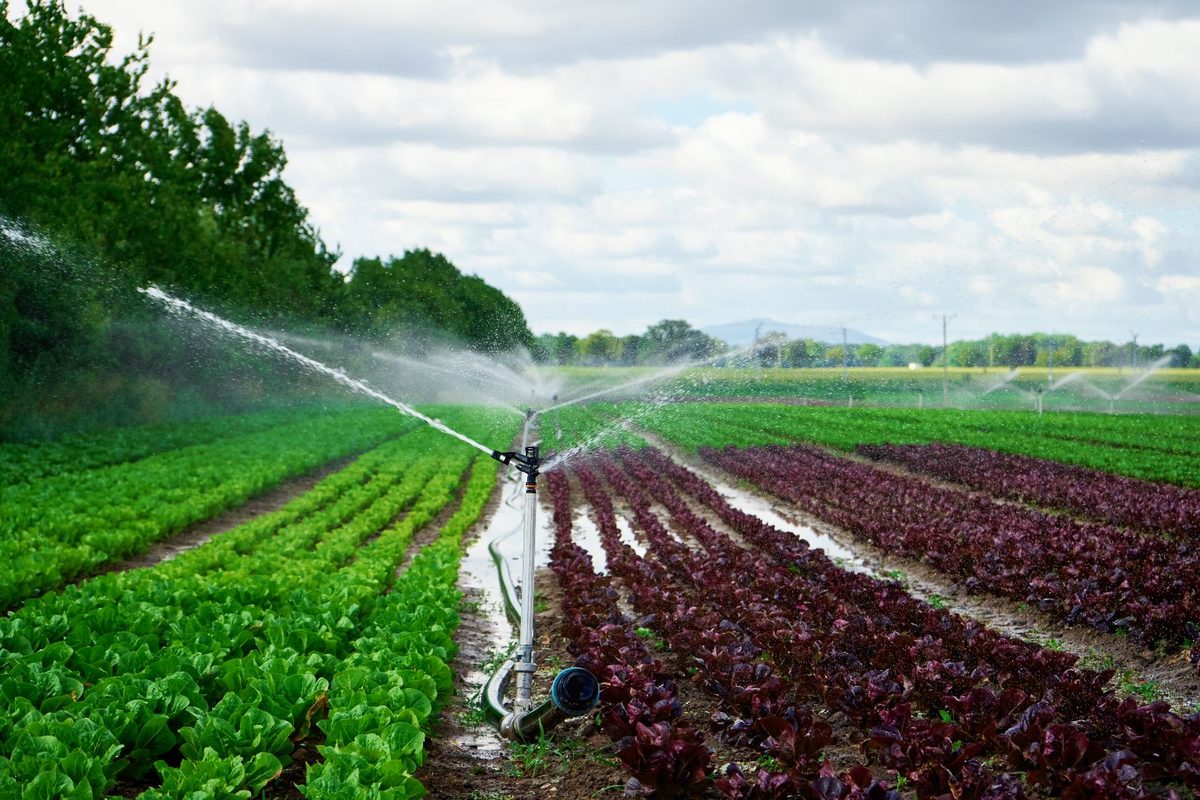Why Irrigation Is the Future of Kenyan Agriculture