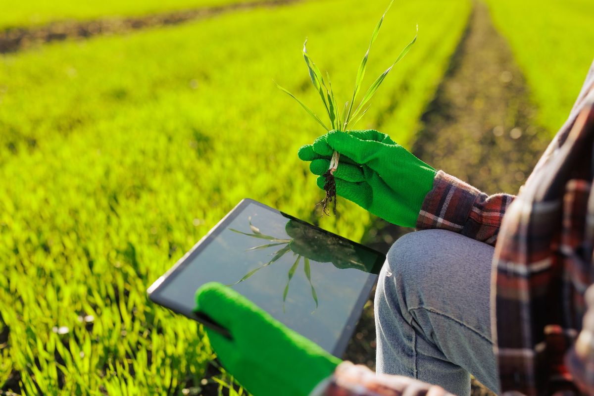 How Agriculture, Manufacturing and Innovation Can Transform Kenya